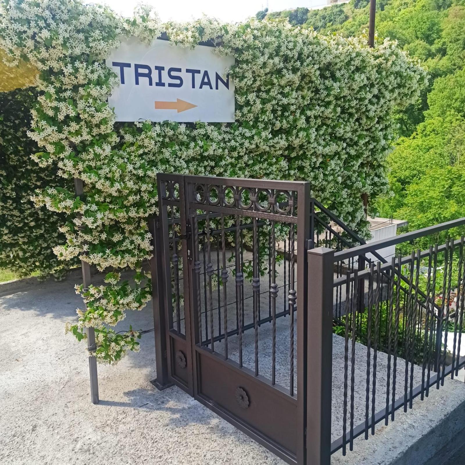 Apartman Tristan Herceg Novi Buitenkant foto